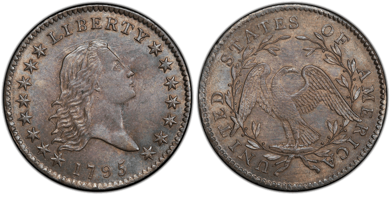 1795 Flowing Hair Half Dollar