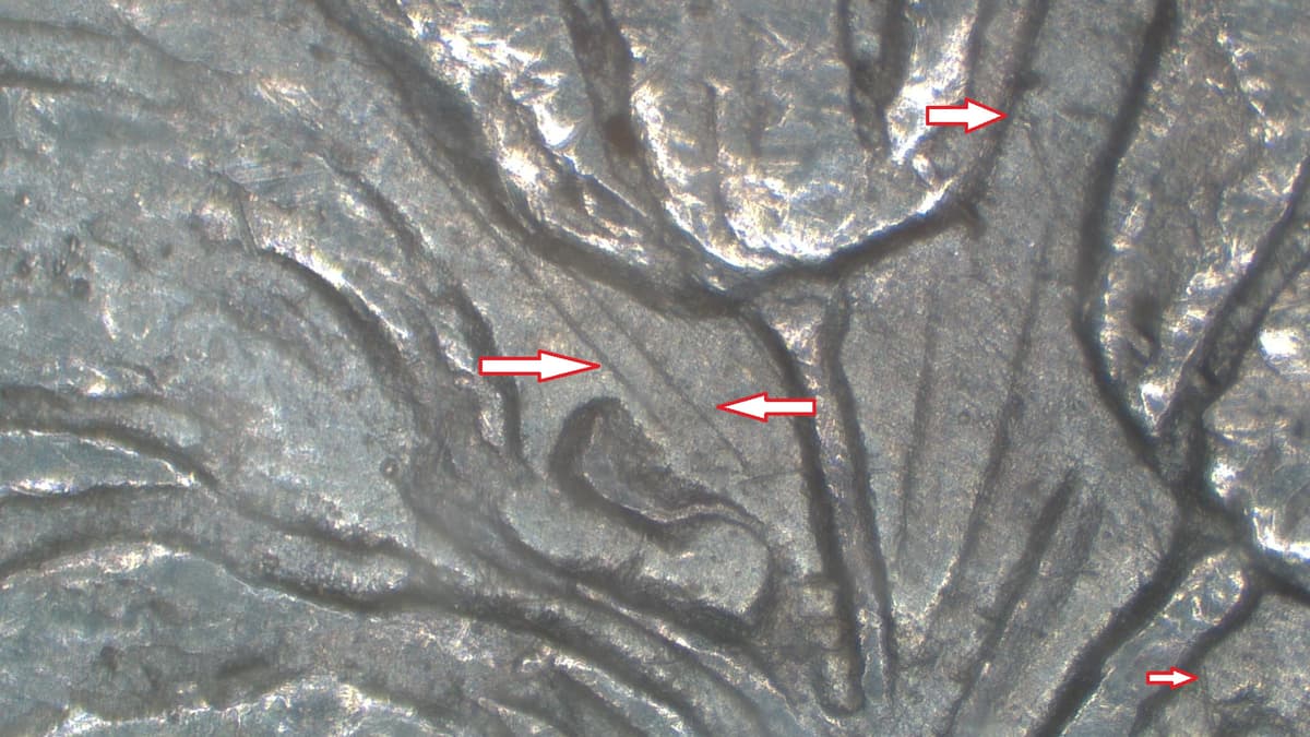 Image 9