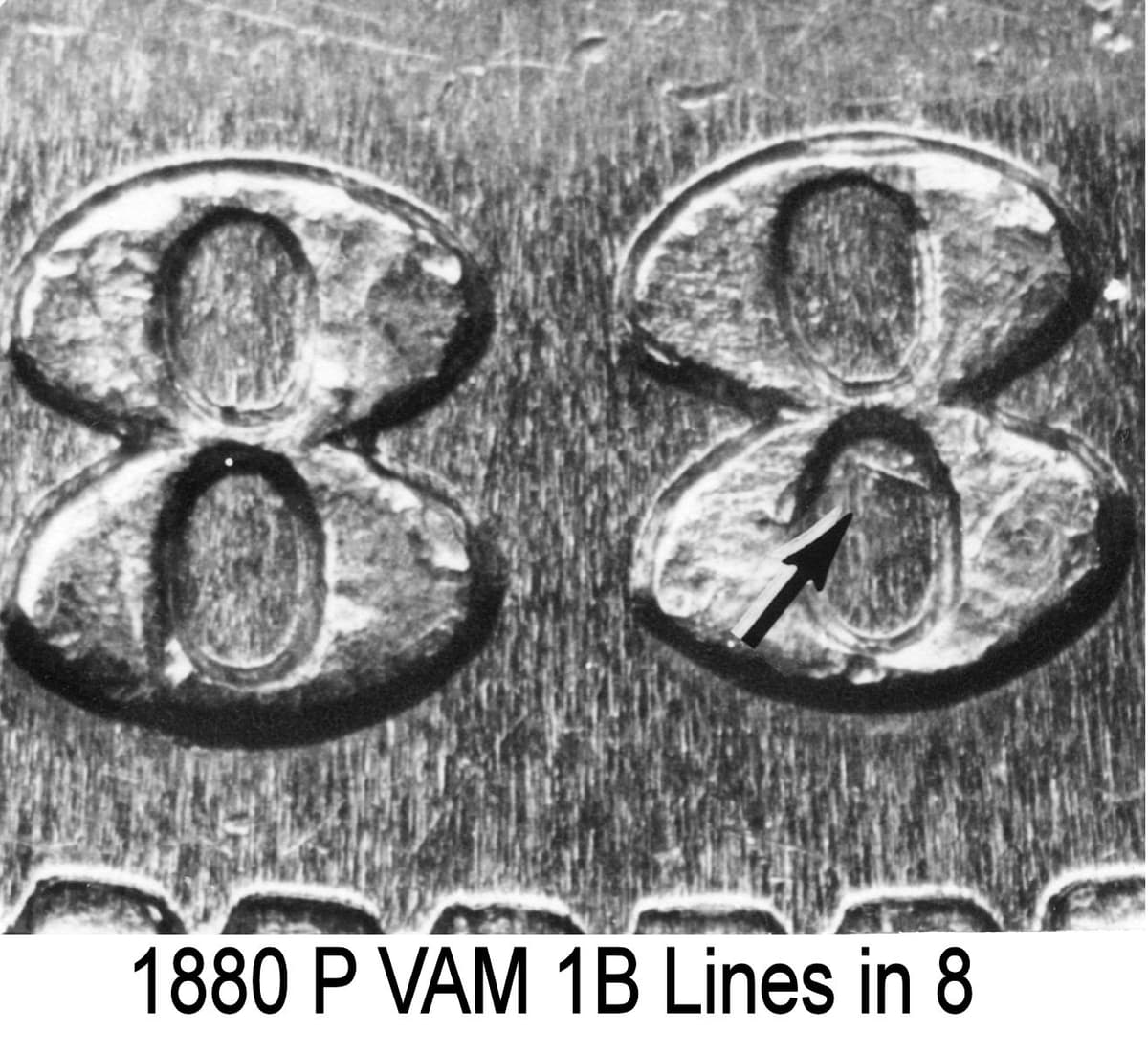 1880-P VAM-1B