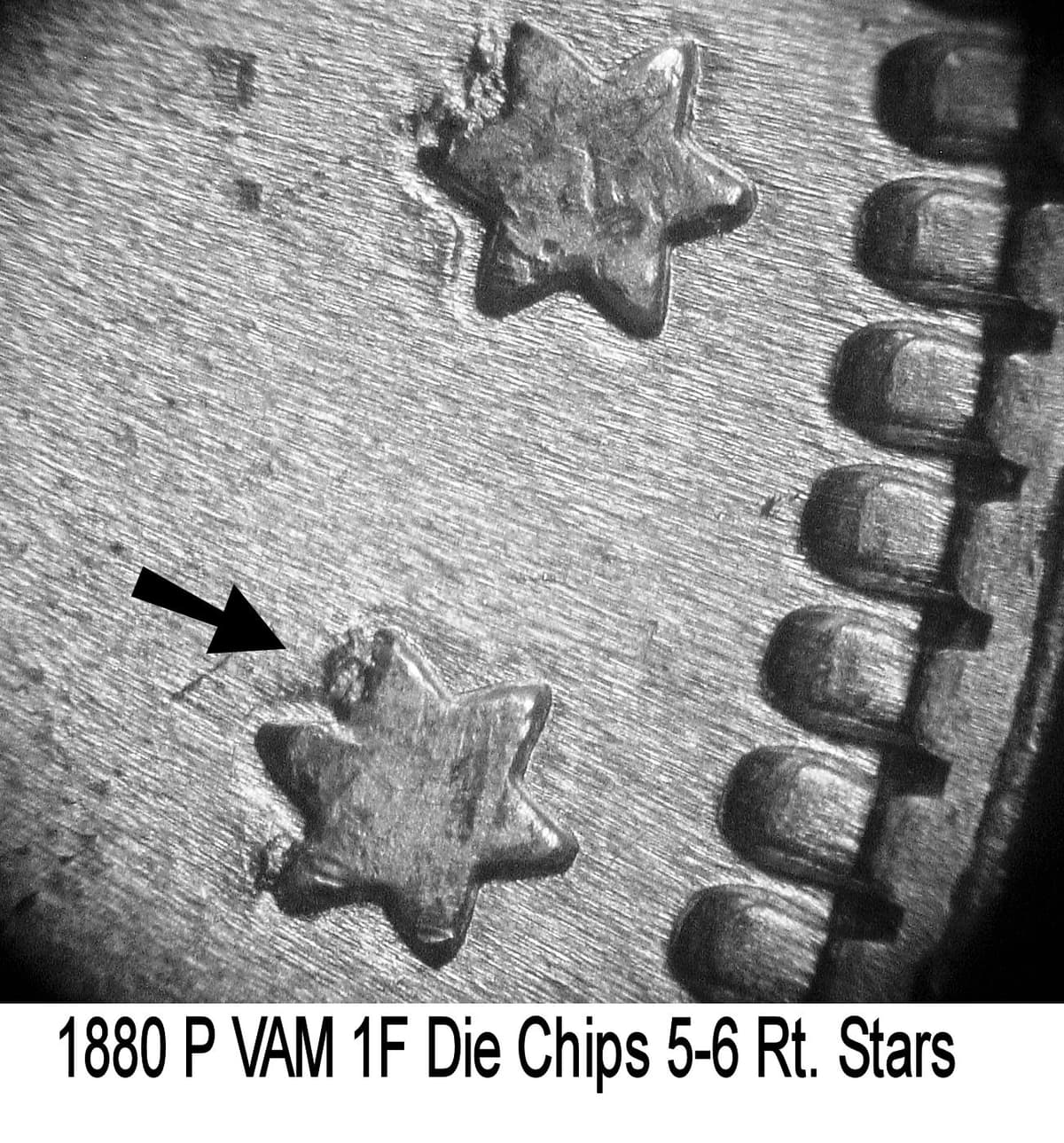 1880-P VAM-1F