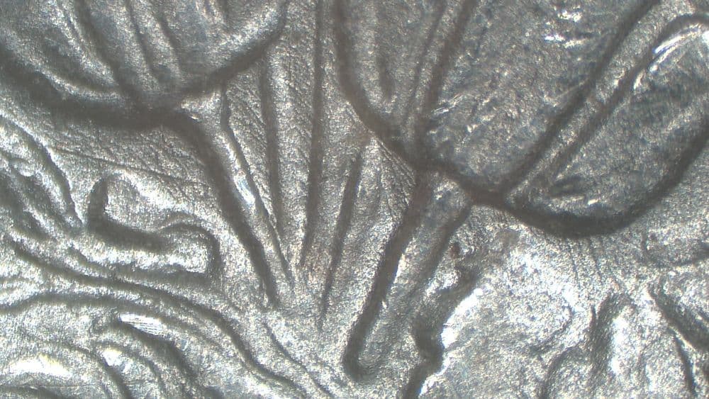 Image 9