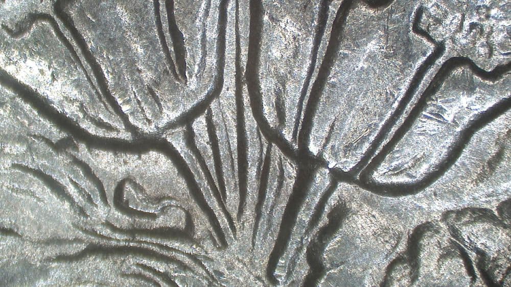 Image 9