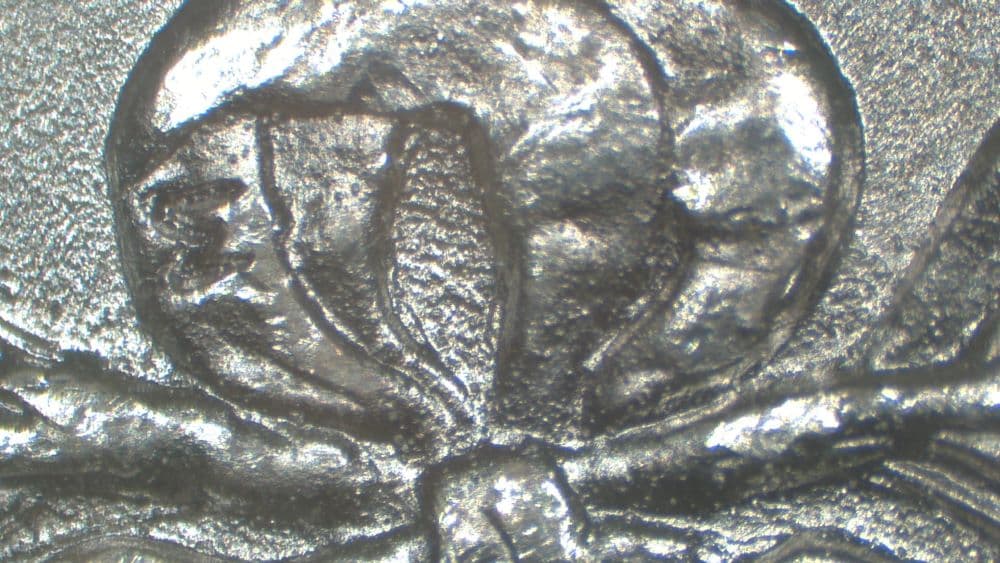 Image 9