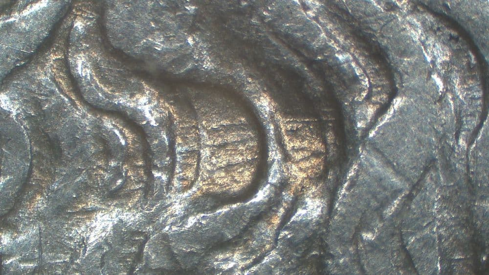 Image 9