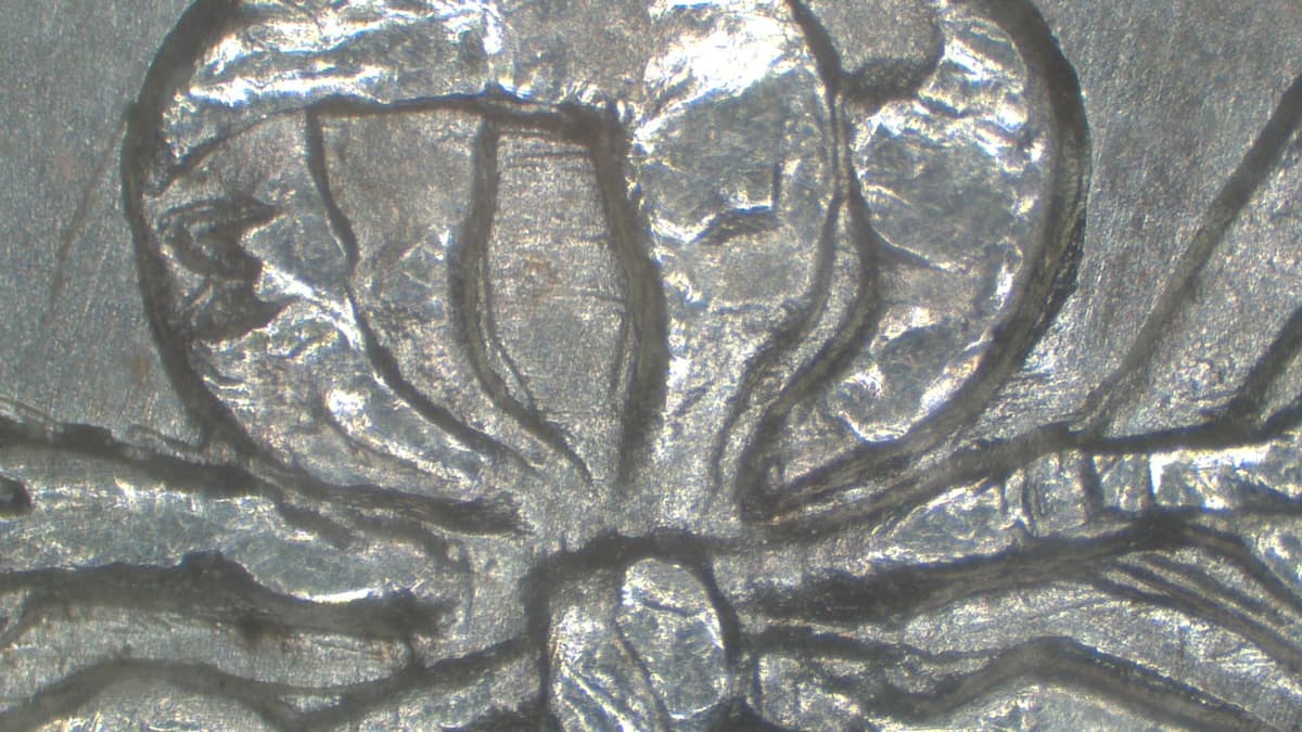 Image 8
