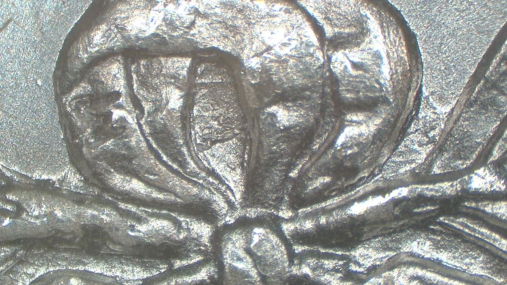 Image 9