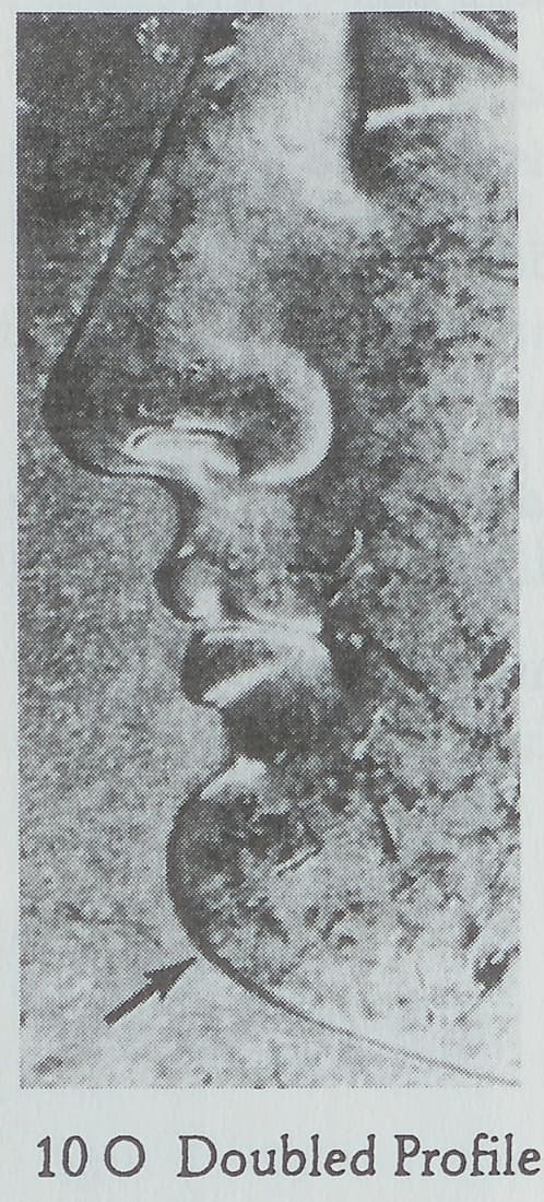 1889-S VAM-10