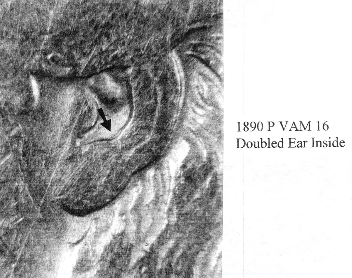 1890-P VAM-16