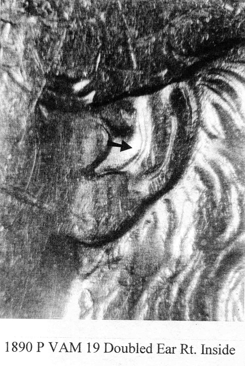 1890-P VAM-19