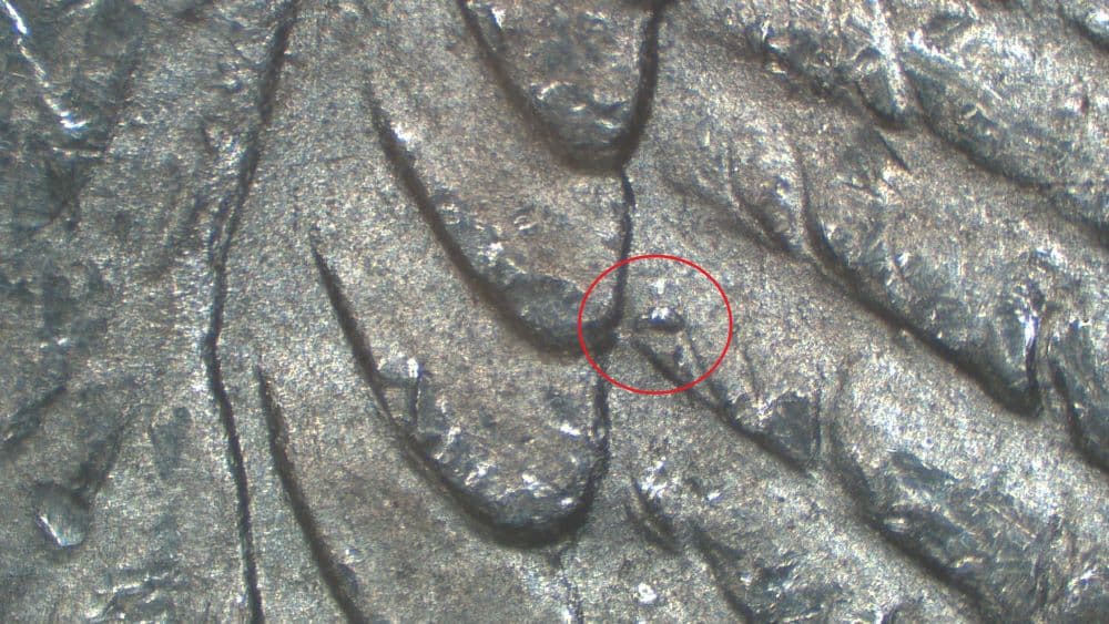 Image 9
