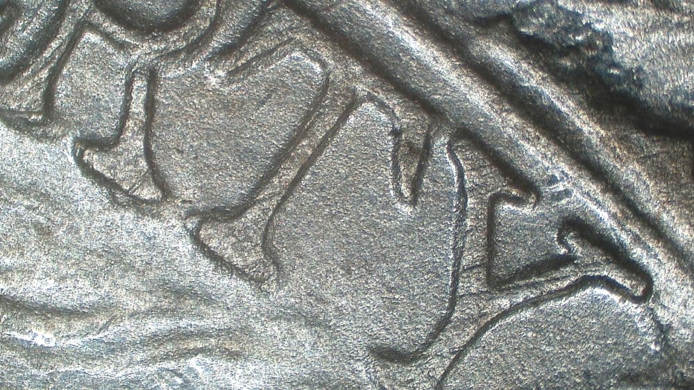 Image 8