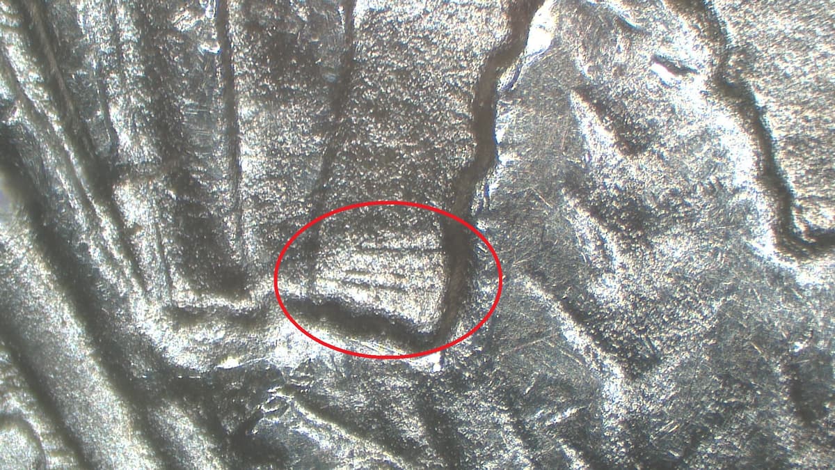 Image 9