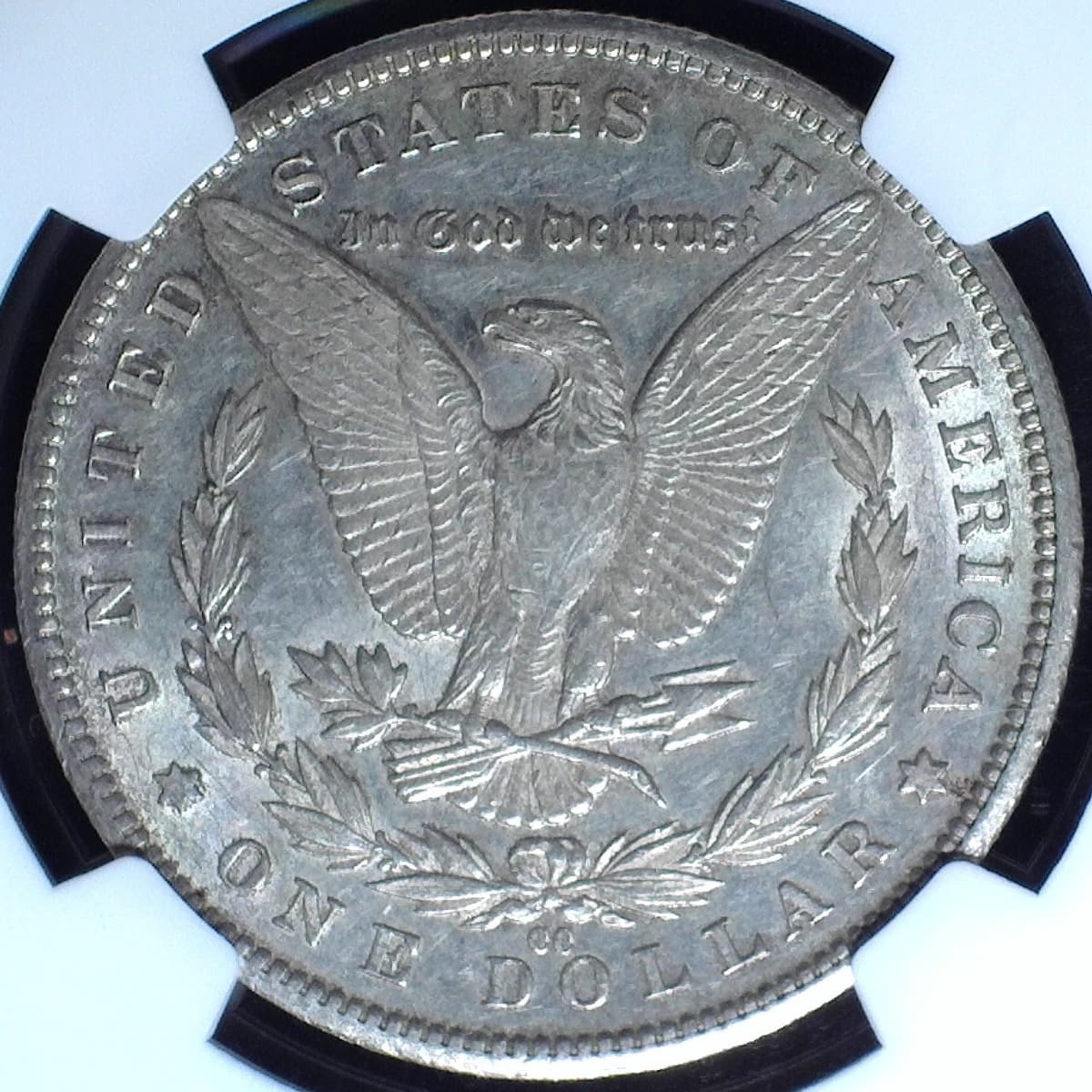 Image 8