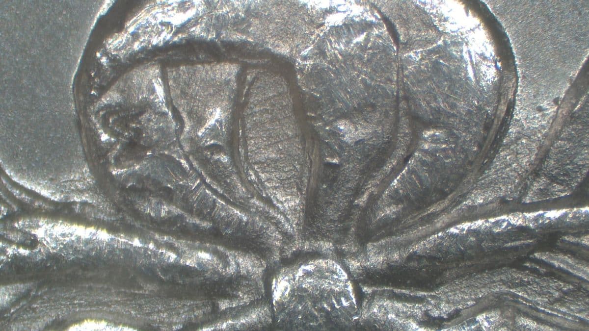 Image 9
