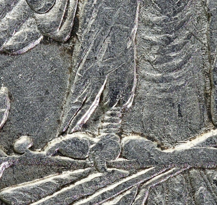 Image 9