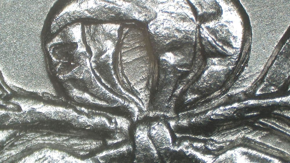Image 10