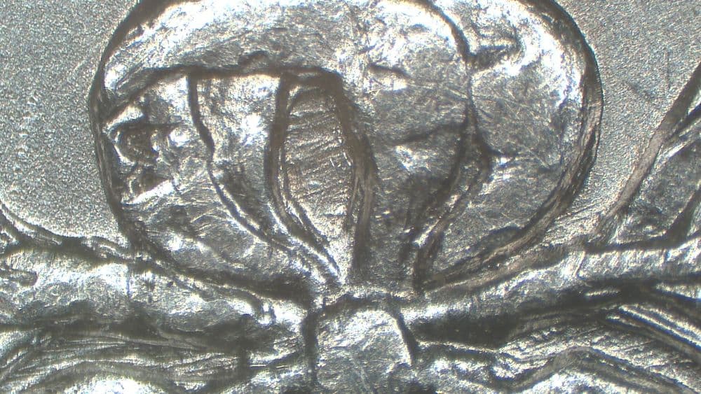 Image 9