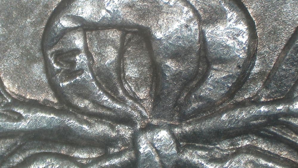 Image 10