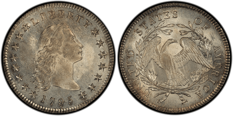1795 Flowing Hair Dollar - 3 Leaves