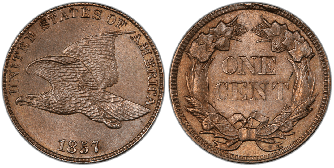 1857 Flying Eagle Cent Reverse Rim Cud (12 to 1 o'clock)