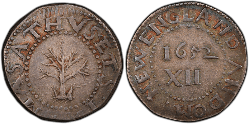 1652 Shilling Oak Tree - Spiny Tree