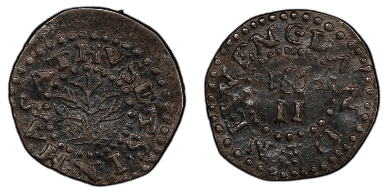 1662 Twopence Oak Tree - Small 2