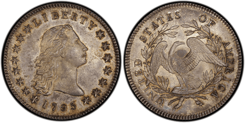 1795 Flowing Hair Dollar - Silver Plug
