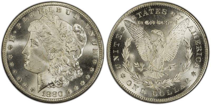 1880 Morgan Dollar