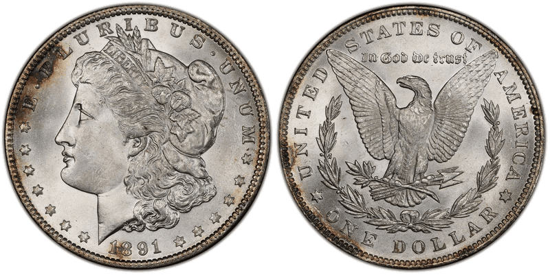 1891 Morgan Dollar