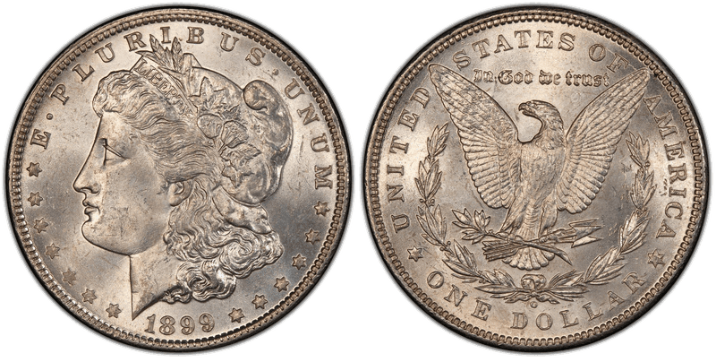 1899 Morgan Dollar