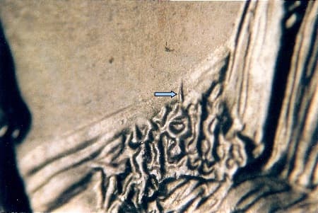 2005 Doubled Die Reverse WDDR-001