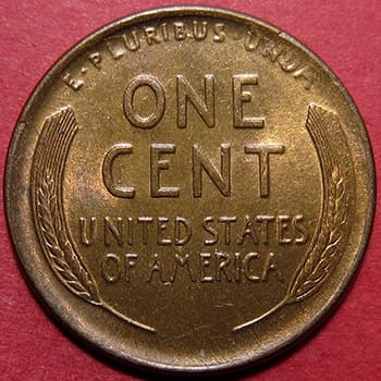CU-1C-1919S-07R Rim Cud