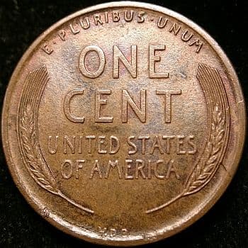 RCD-1c-1909-08R Retained Cud