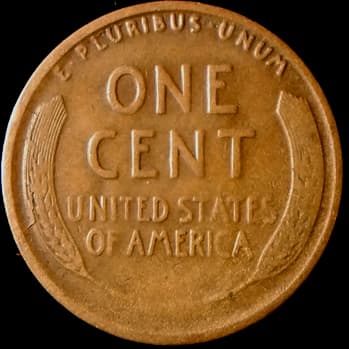 RCD-1c-1924S-01R Retained Cud