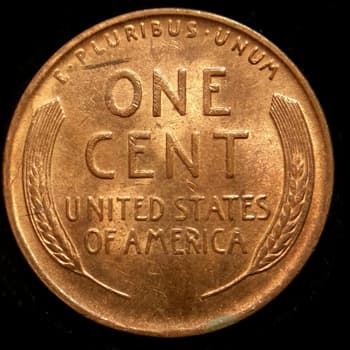 RCD-1c-1944S-02R Retained Cud