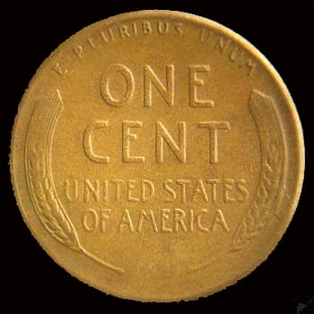 RCD-1c-1952S-08R Retained Cud