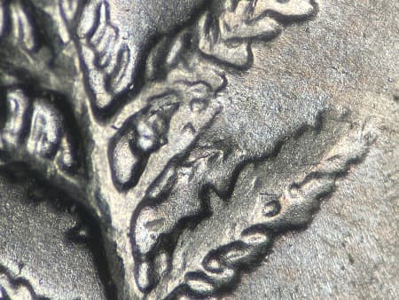2020 Doubled Die Reverse WDDR-007
