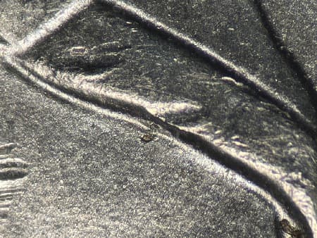 2016 Doubled Die Reverse WDDR-008