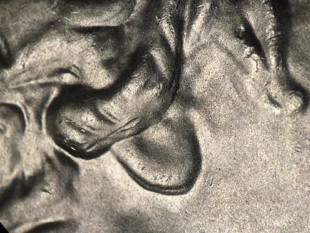 2023 Doubled Die Obverse WDDO-002