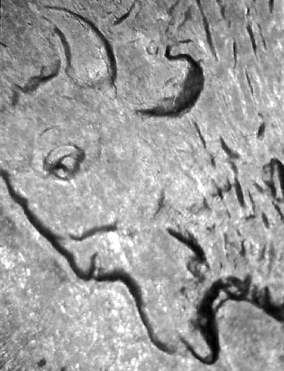 1931-S Doubled Die Reverse WDDR-002