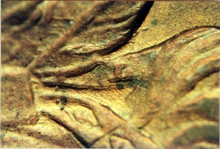 1897 Doubled Die Obverse WDDO-001