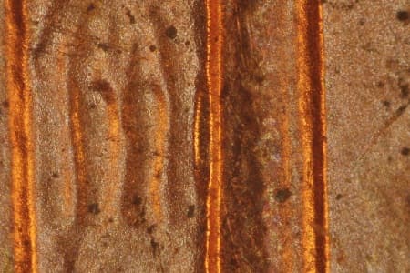 1997-D Doubled Die Reverse WDDR-029