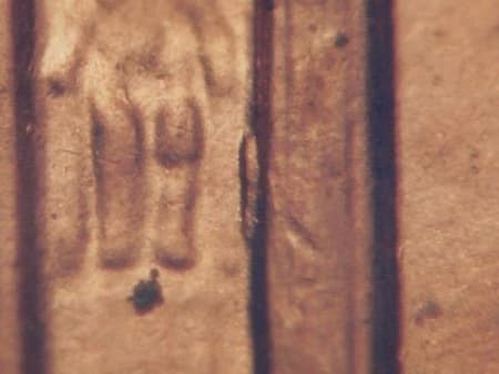 1998 Doubled Die Reverse WDDR-013