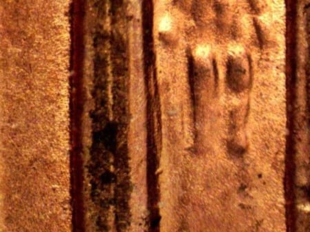 1999-D Doubled Die Reverse WDDR-009