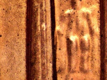 1999-D Doubled Die Reverse WDDR-011