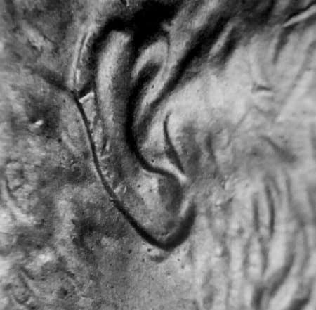 2001 Doubled Die Obverse WDDO-002