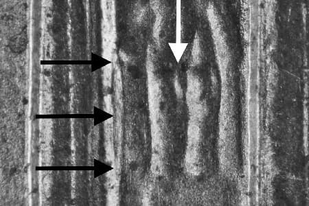 2002-D Doubled Die Reverse WDDR-008