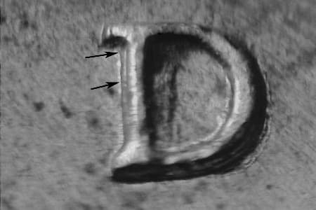 1989-D Repunched Mintmark WRPM-018