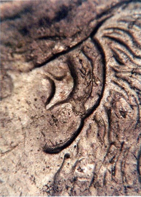 1886 Doubled Die Obverse WDDO-001
