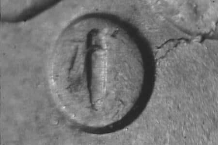 1884-O Repunched Mintmark WRPM-007